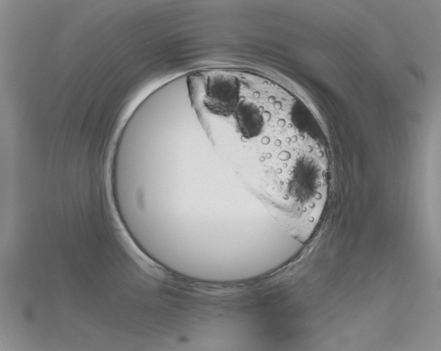 X0000115741195200911121056