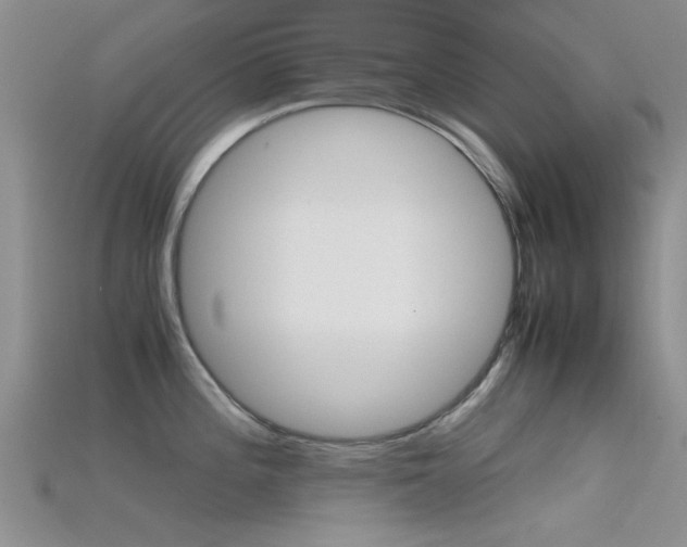 X0000115741196200911121056