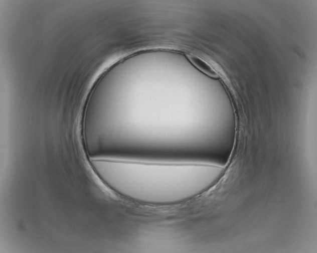 X0000115741197200911121056