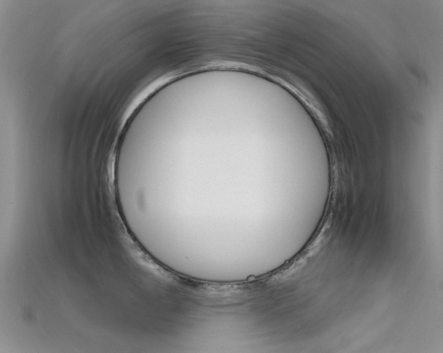 X0000115741198200911121056