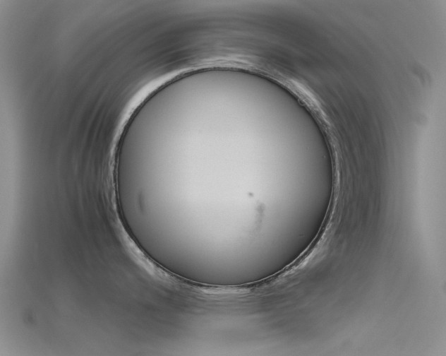 X0000115741200200911121056