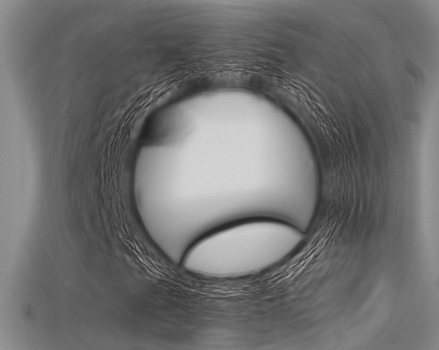 X0000115741201200911121055