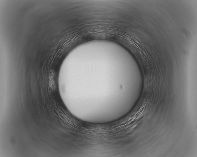 X0000115741202200911121055