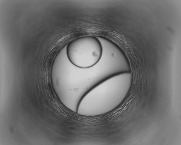 X0000115741205200911121055
