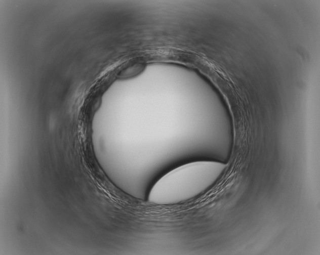 X0000115741206200911121055