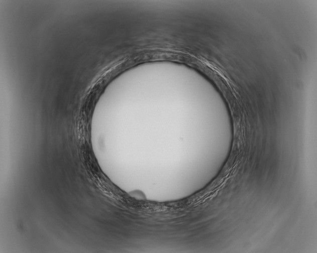 X0000115741207200911121055