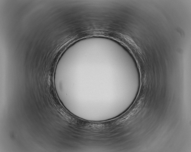 X0000115741209200911121055