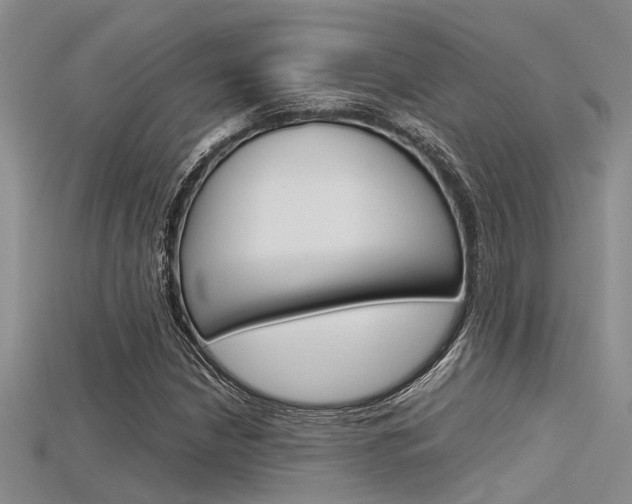 X0000115741210200911121055
