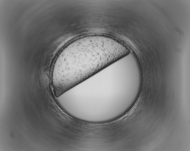X0000115741212200911121055