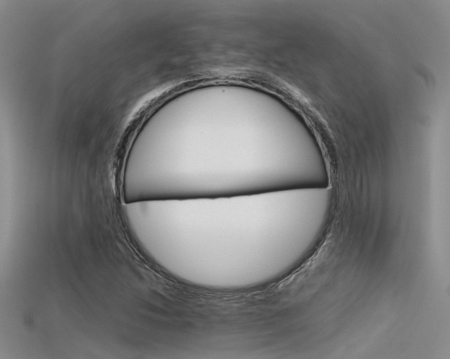 X0000115741214200911121055