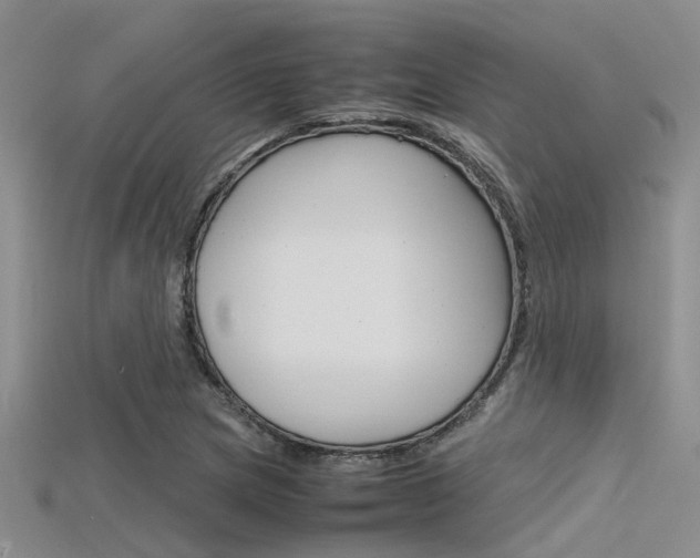 X0000115741217200911121055