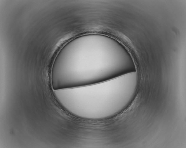 X0000115741218200911121055