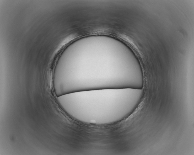 X0000115741219200911121055