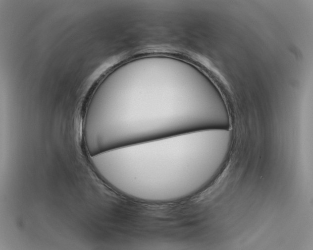 X0000115741221200911121055