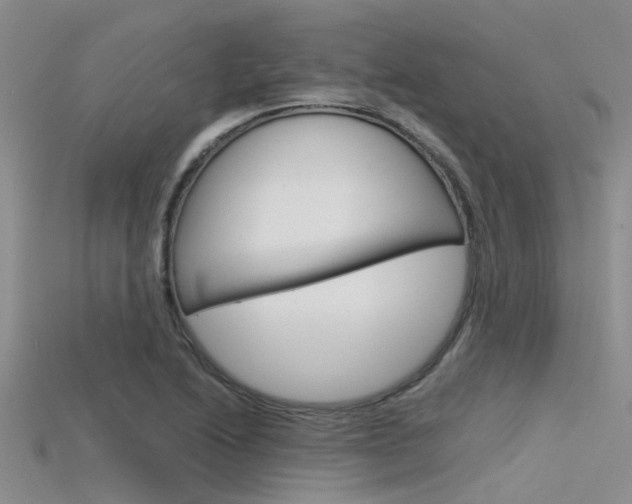 X0000115741222200911121055