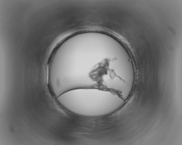 X0000115741223200911121055