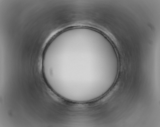 X0000115741224200911121055