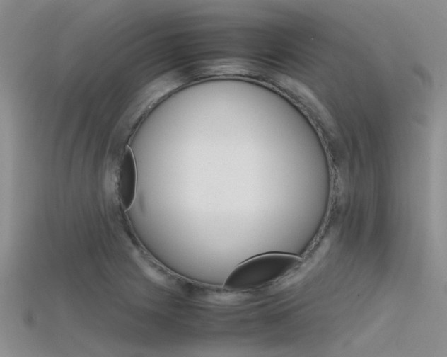 X0000115741225200911121055