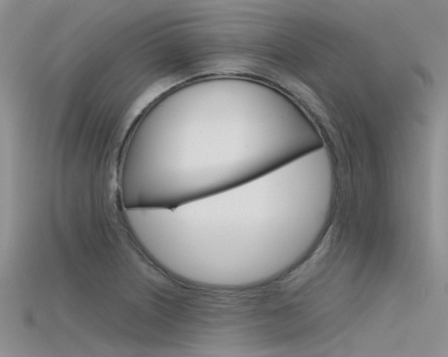 X0000115741226200911121055