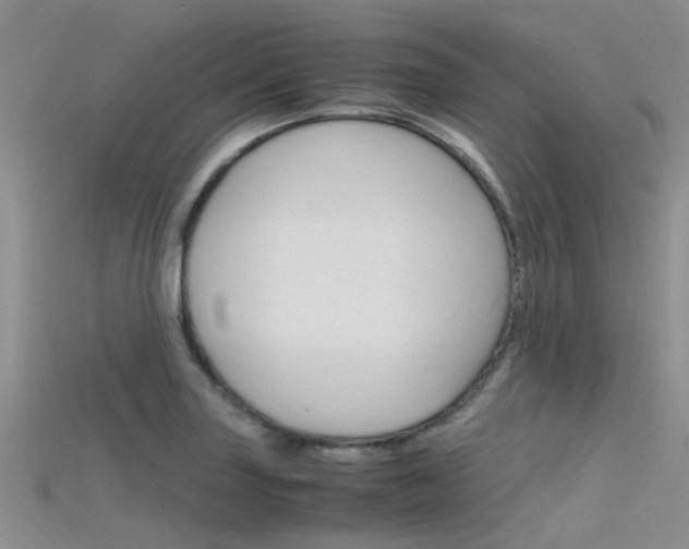 X0000115741227200911121055