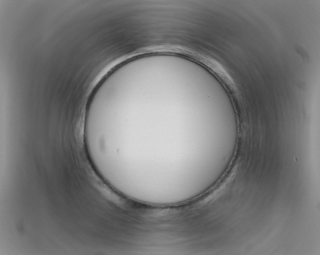 X0000115741228200911121055