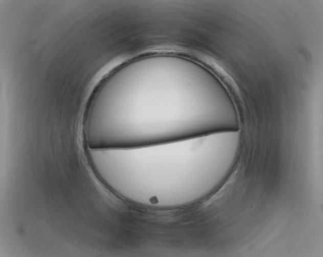 X0000115741229200911121055