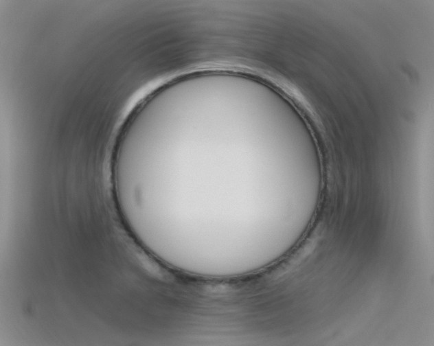 X0000115741230200911121055