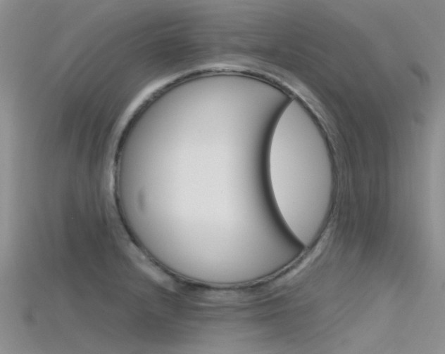 X0000115741232200911121055