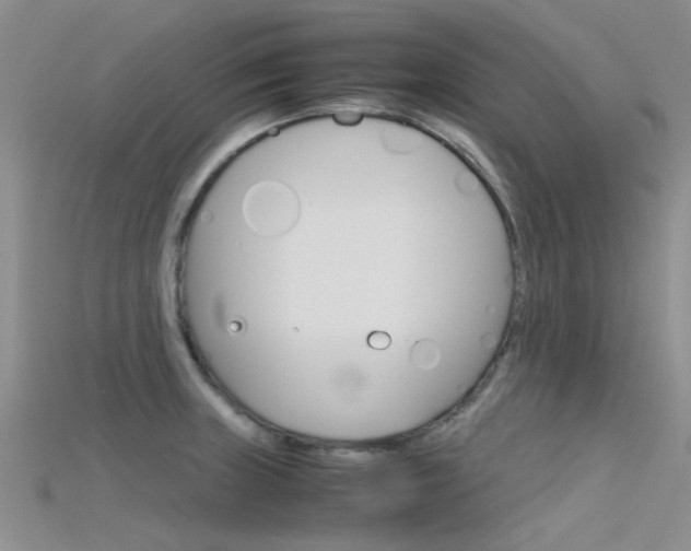 X0000115741235200911121055