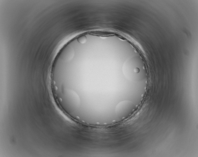X0000115741239200911121055