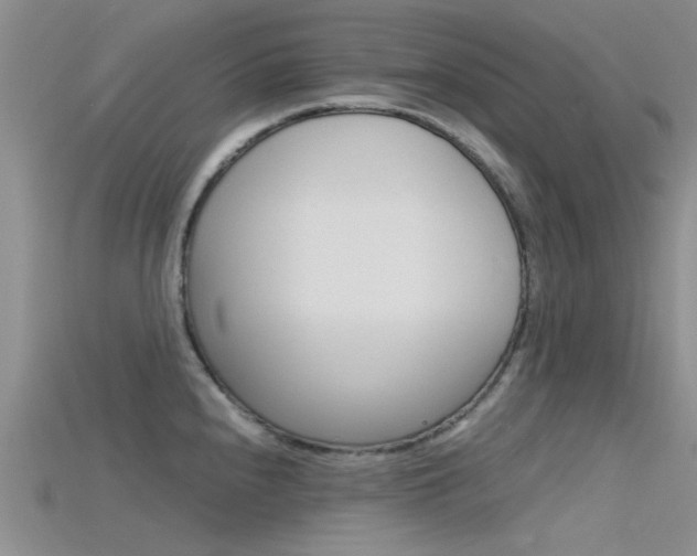 X0000115741240200911121055