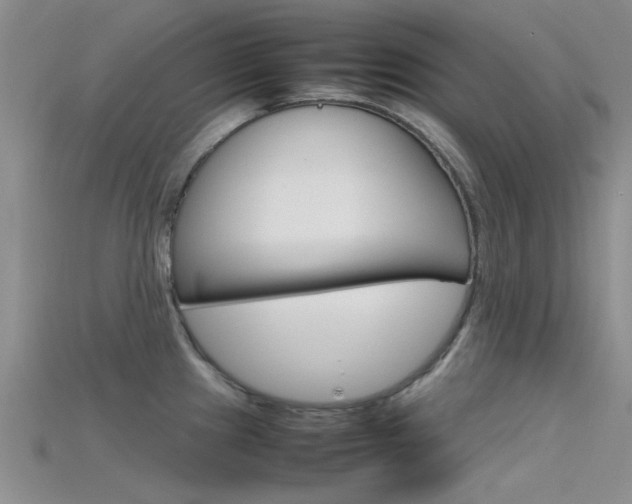 X0000115741241200911121055