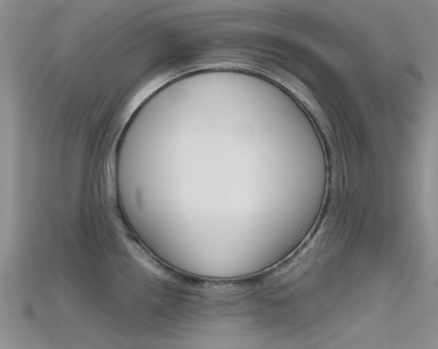 X0000115741242200911121055
