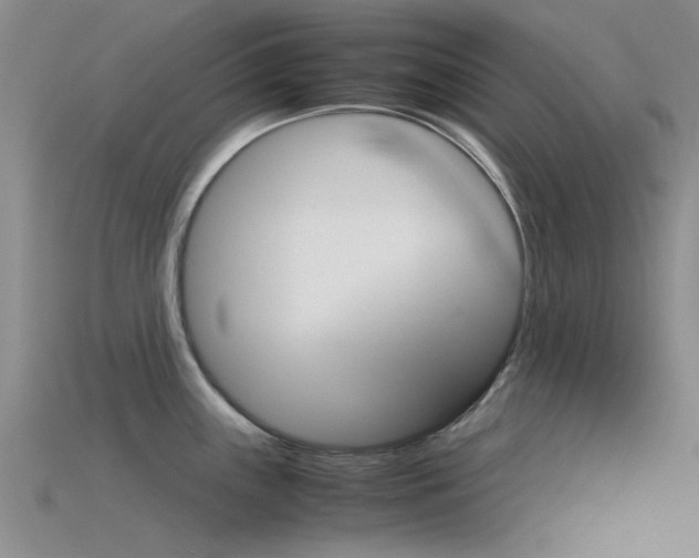 X0000115741243200911121056
