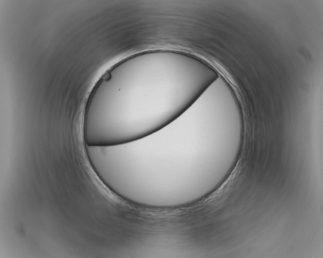 X0000115741246200911121056