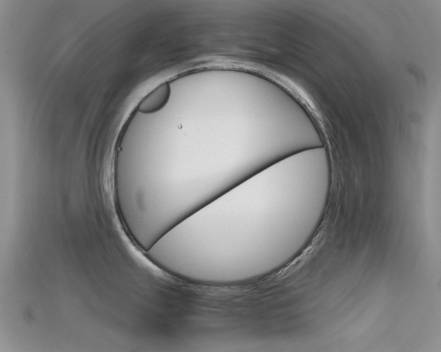 X0000115741247200911121056