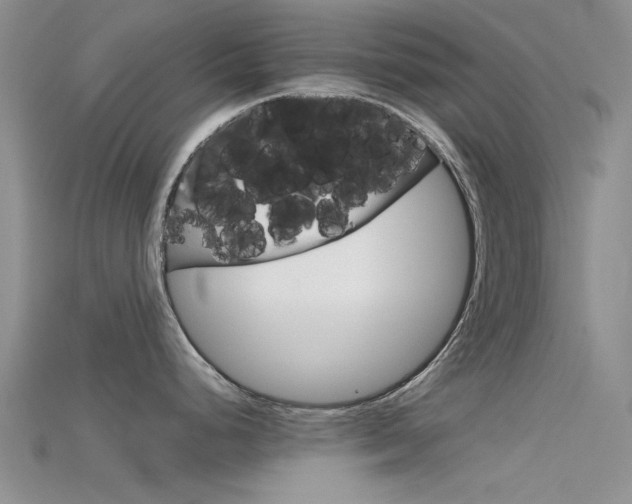 X0000115741248200911121056