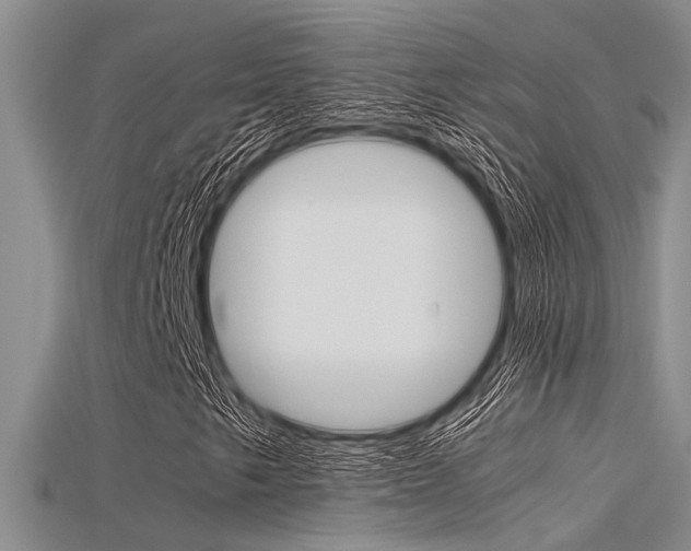 X0000115741249200911121055