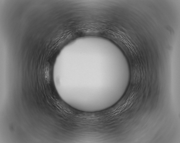 X0000115741250200911121055