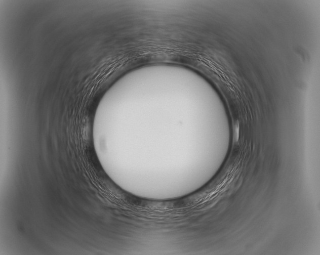 X0000115741251200911121055