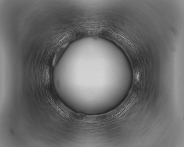 X0000115741252200911121055