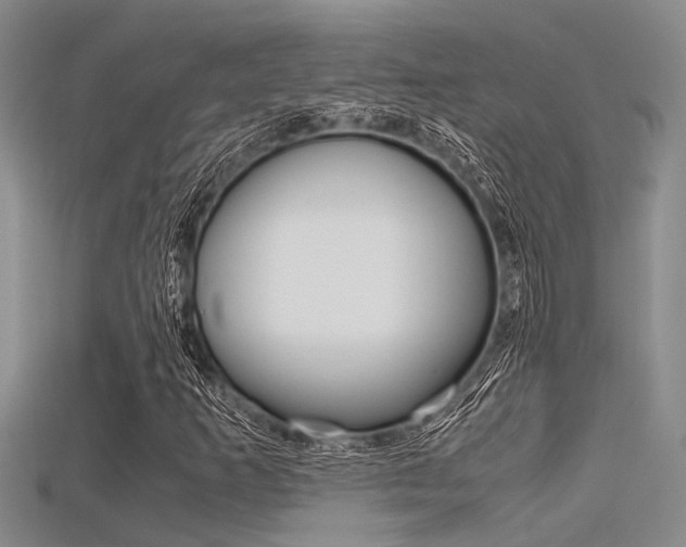 X0000115741253200911121055
