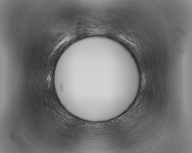X0000115741254200911121055