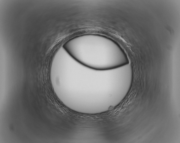 X0000115741255200911121055