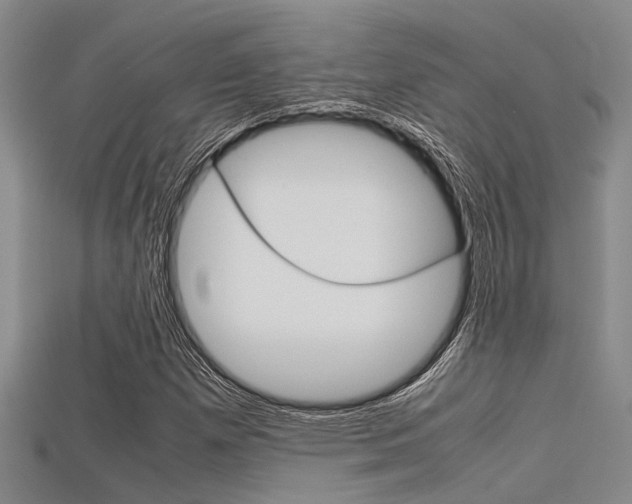 X0000115741257200911121055