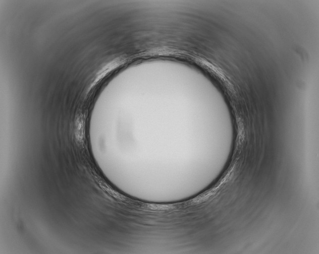 X0000115741258200911121055