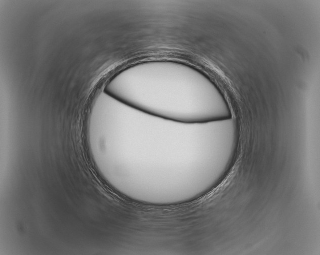 X0000115741259200911121055