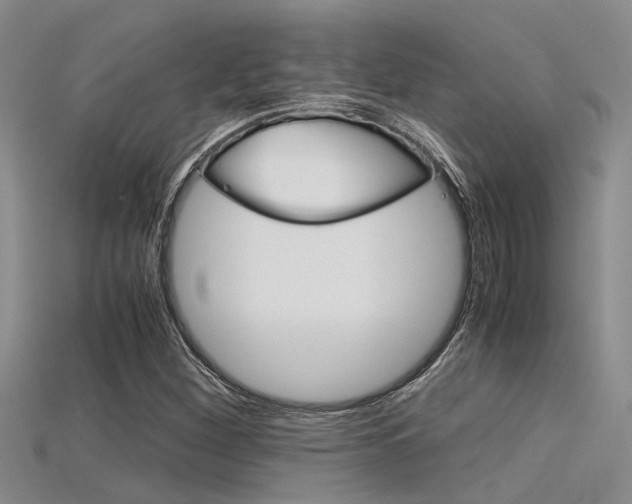 X0000115741260200911121055