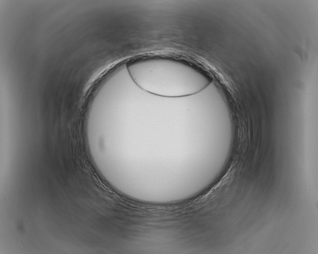 X0000115741262200911121055