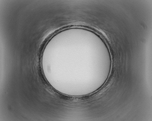 X0000115741263200911121055